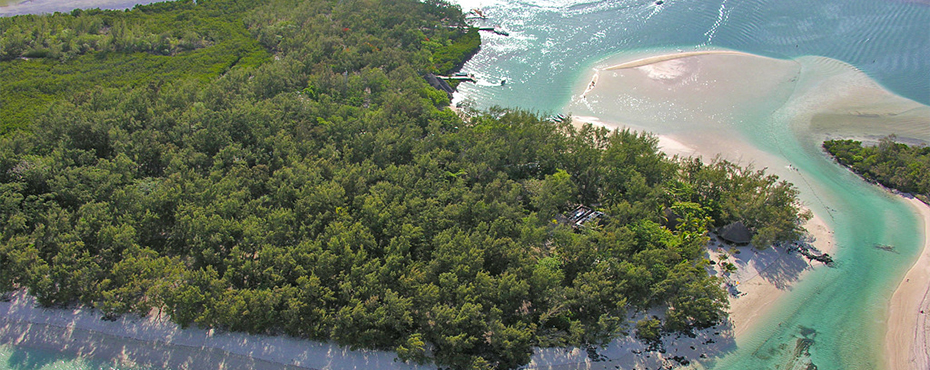 ile aux cerfs mauritius